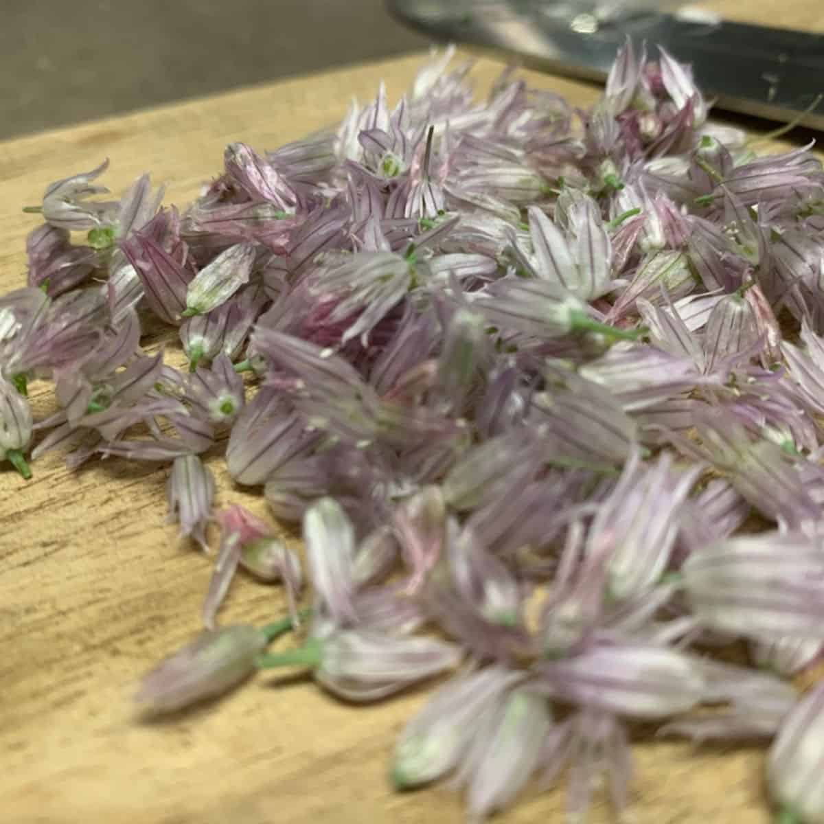 Chive Blossoms