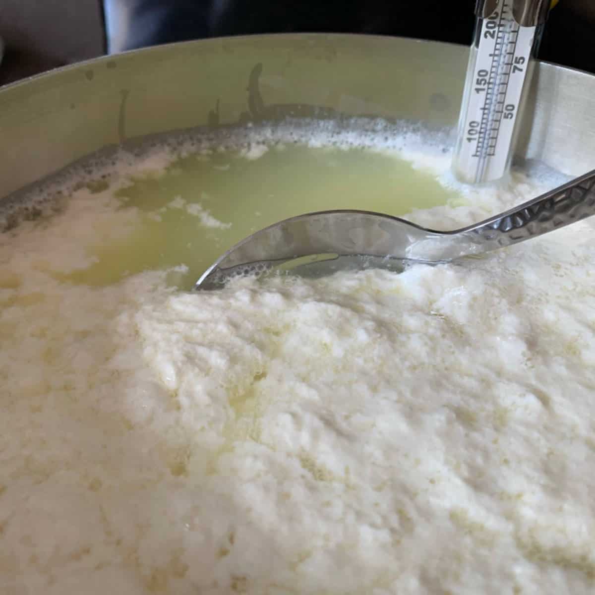 The curd in a pot with the thermometer. 