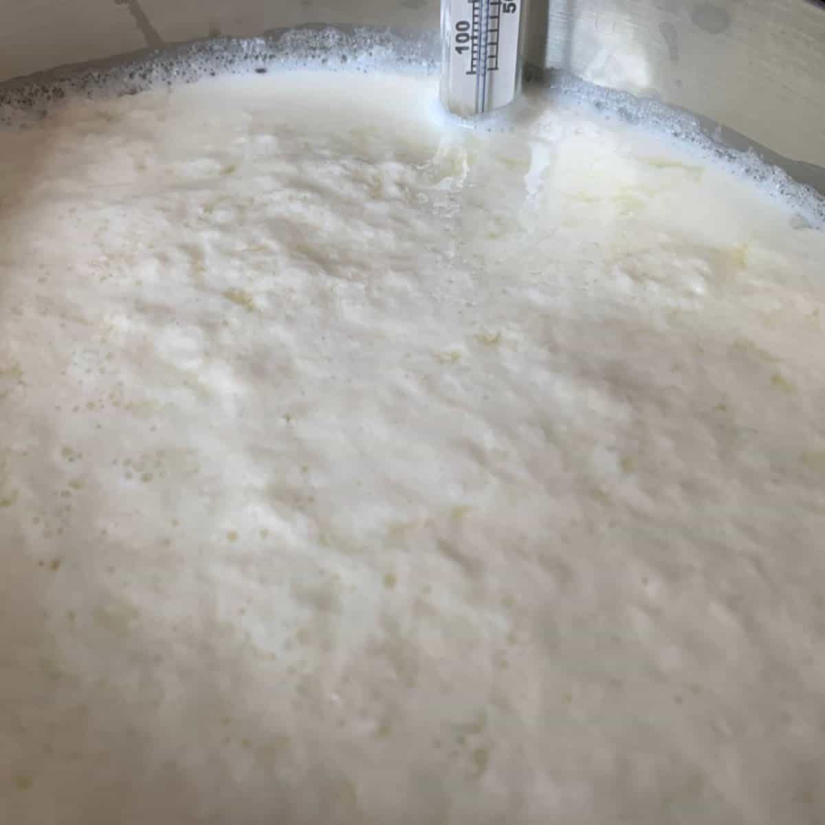 Homemade Ricotta Cheese 2