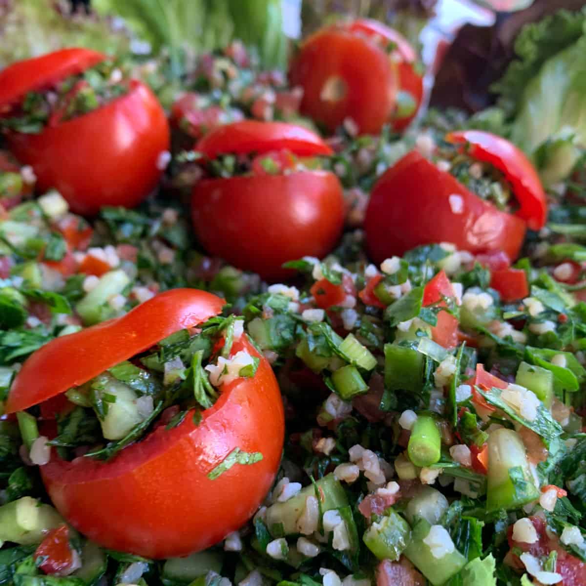 Authentic Springy Tabbouleh 1