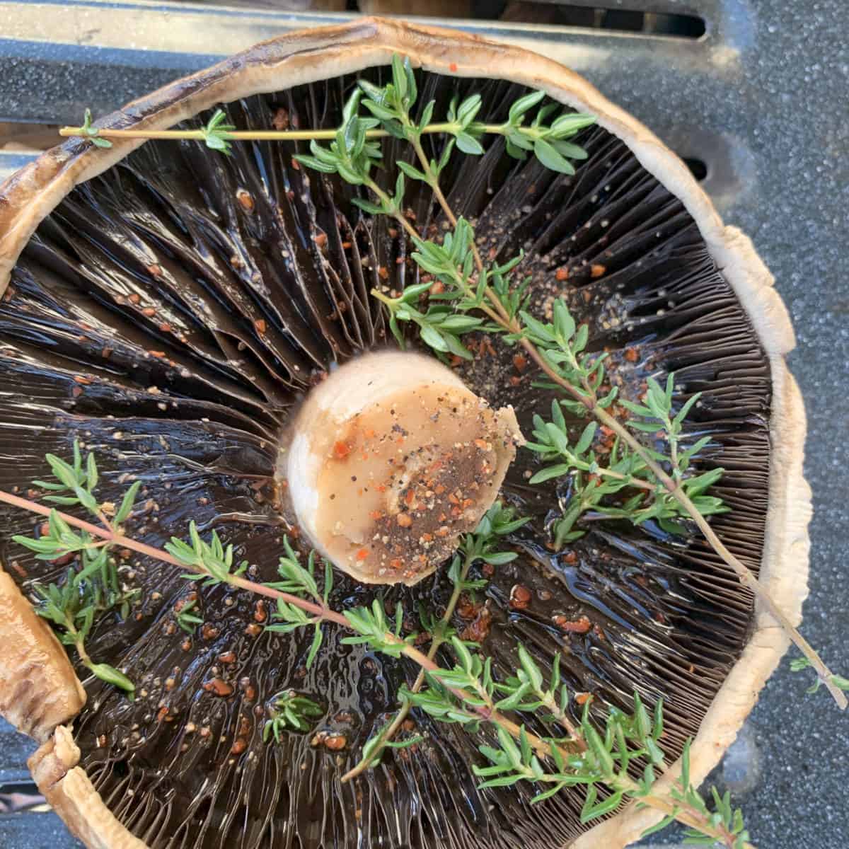 Smoked portobello mushroom s 3