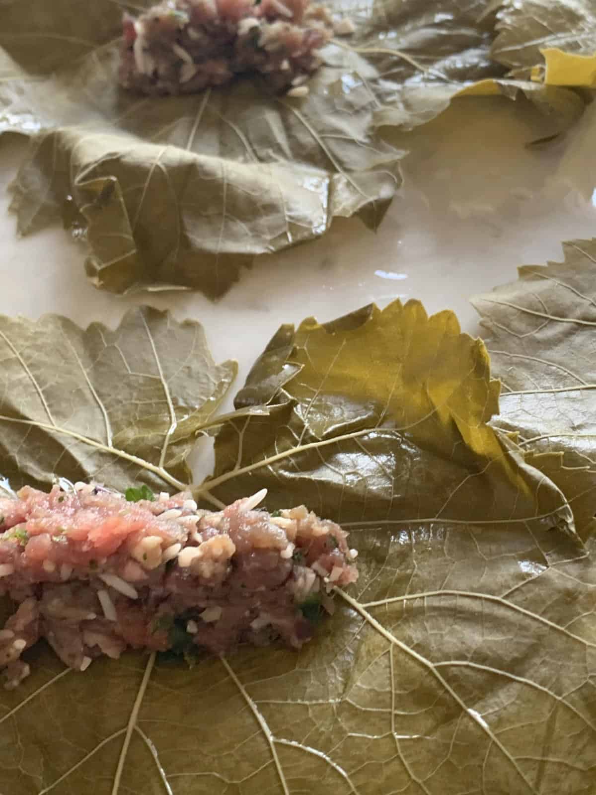 Meat mixture on a grape leaves.