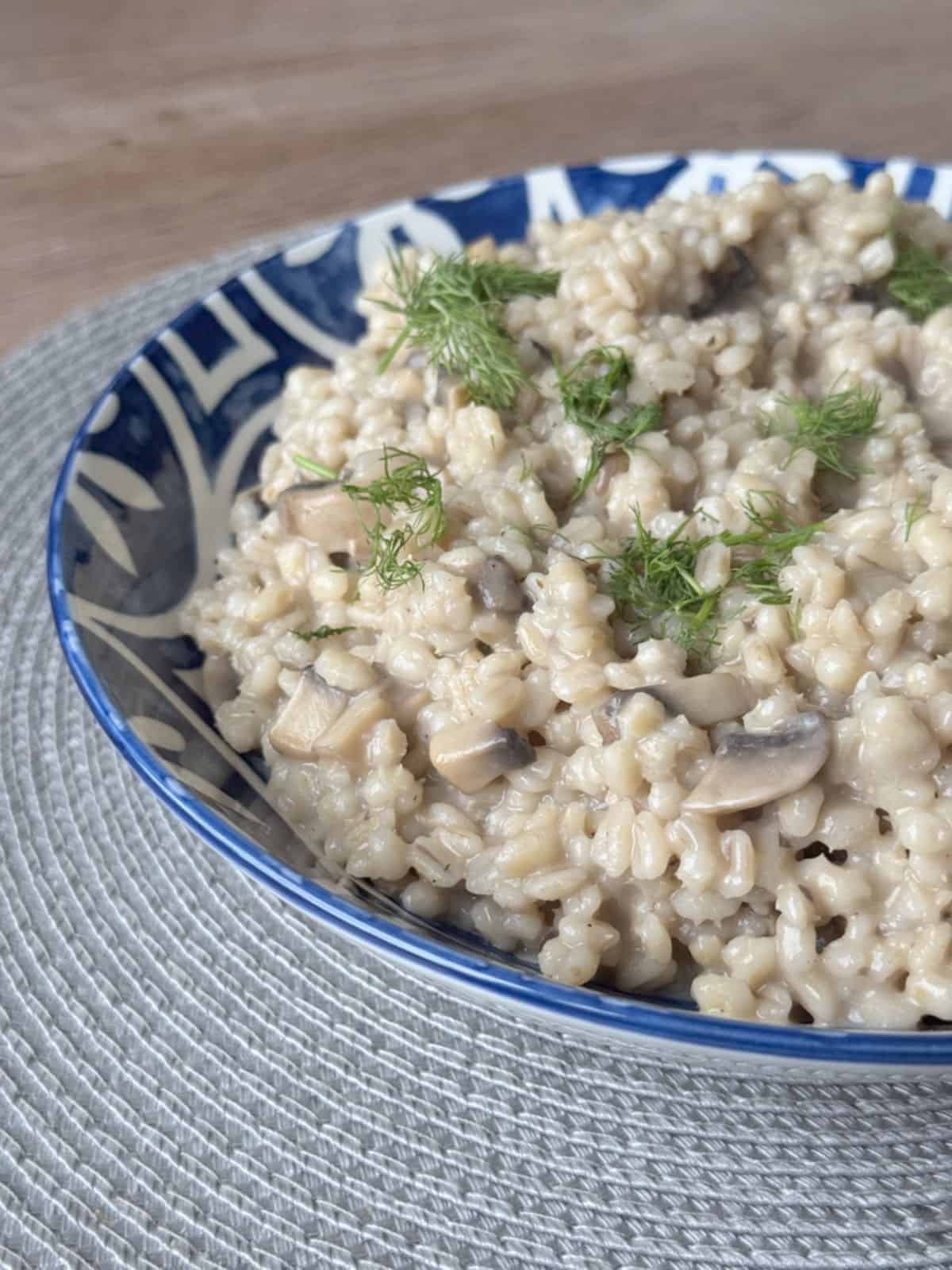 Side view of a pearl barley risotto bowl with chopped dill.