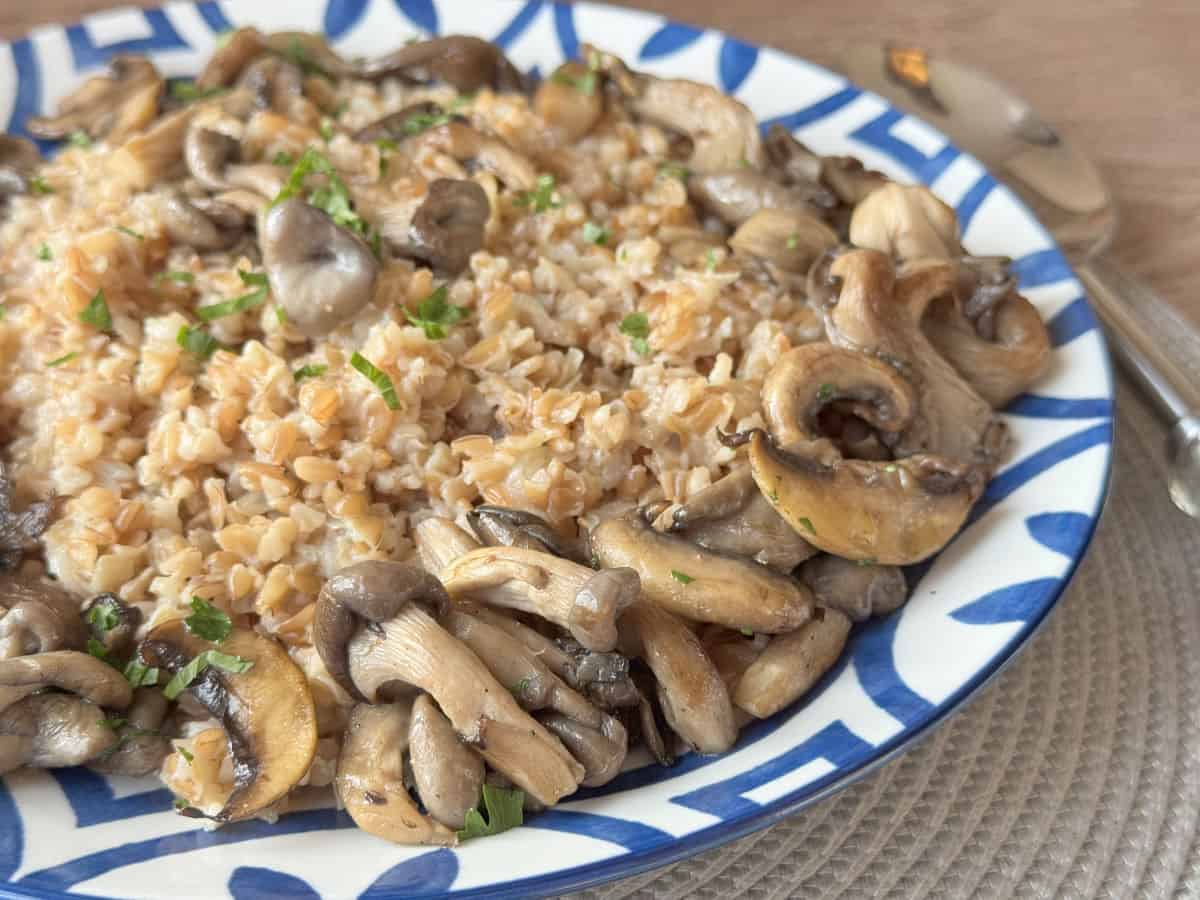 Side view of a farrow with mushroom pilaf on a blue plate.