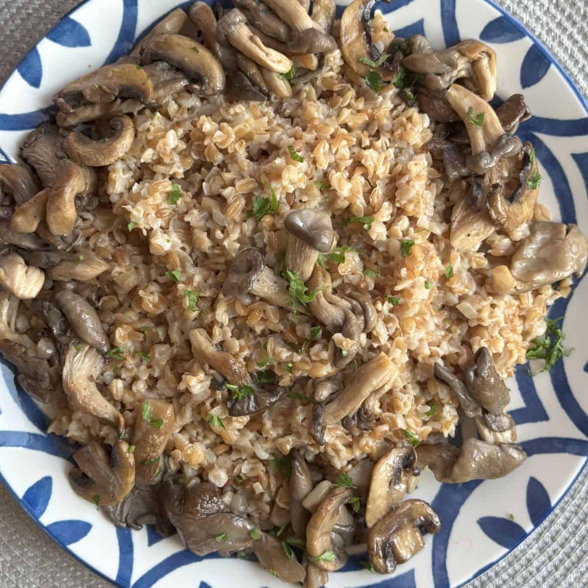 Overhead view of the farro pilaf with mushrooms.