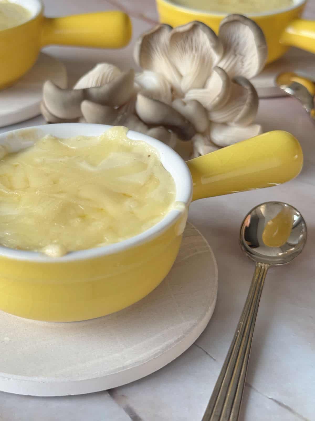 Mushroom Julienne Final P16 2